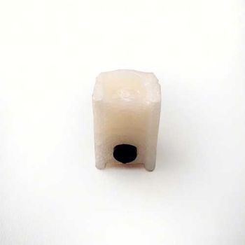 Reed Schwimmer Wassertank
